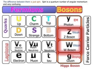 Up
Down
Charm
Strange
Top
Bottom
Electron
Neutrino
Electron
Muon
Neutrino
Muon
Tau
Neutrino
tau
Photon
Z Boson
W Boson
Gluon
EM
Weak
Weak
Strong
The difference between them is just spin. Spin is a quantum number of angular momentum
and very confusing.
 