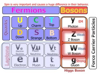 Up
Down
Charm
Strange
Top
Bottom
Electron
Neutrino
Electron
Muon
Neutrino
Muon
Tau
Neutrino
tau
Photon
Z Boson
W Boson
Gluon
EM
Weak
Weak
Strong
Spin is very important and causes a huge difference in their behavior.
 