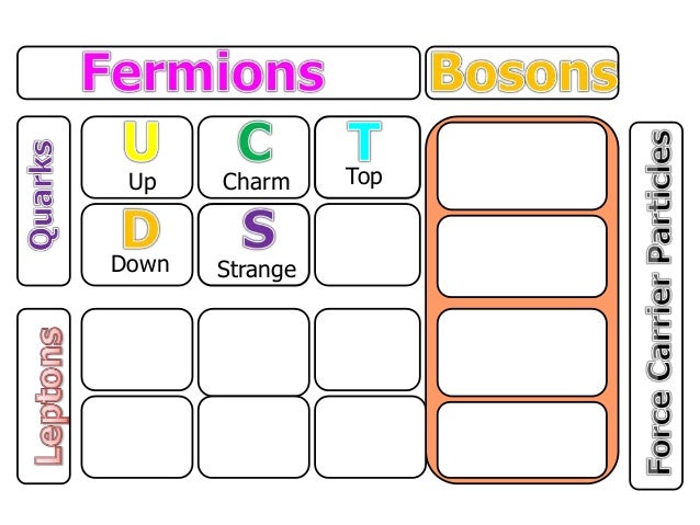 The two families of fundamental particles out of which all ordinary matter is made are information