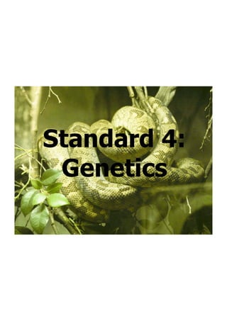 Standard 4.1 - Genetics 