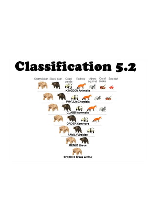 Standard 5.2   classification
