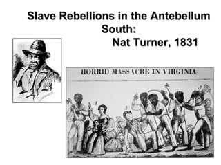Slave Rebellions in the AntebellumSlave Rebellions in the Antebellum
South:South:
Nat Turner, 1831Nat Turner, 1831
 