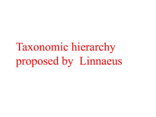 Taxonomic hierarchy
proposed by Linnaeus
 