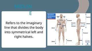 Standard Anatomical Terms and Planes.pptx