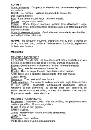 CORPS :
Ligne du dessus : Du garrot en direction de l’arrière-main légèrement
ascendante.
Garrot : Peu marqué. Passage sans heurt du cou au dos.
Dos : Solide, flexible.
Rein : Relativement court, large, très bien musclé.
Croupe : Longue, assez droite.
Poitrine : D’une largeur modérée, poitrail bien développé ; cage
thoracique ovale, bien descendue et longue avec des côtes qui portent
bien vers l’arrière.
Ligne du dessous et ventre : Graduellement ascendante vers l’arrière ;
ventre légèrement retroussé.

QUEUE : De longueur moyenne, atteignant tout au plus la pointe du
jarret ; attachée haut ; portée à l’horizontale ou tombante, légèrement
inclinée vers l’arrière.

MEMBRES

MEMBRES ANTERIEURS :
En général : Vus de face, les antérieurs sont droits et parallèles ; vus
de côté, ils sont bien placés sous le corps. Bonnes angulations.
Epaule : Omoplate bien inclinée vers l’arrière, fortement musclée.
Bras : Long, avec bonne musculature sèche.
Coudes : Bien au corps, tournés ni en dedans ni en dehors.
Avant-bras : Sec, d’aplomb ; ossature forte ; très bien musclé.
Carpe : Solide.
Métacarpe : Très peu incliné vers l’avant.
Pieds antérieurs : En forme de cuillère, avec des doigts bien cambrés
et bien serrés ; coussinets suffisamment rembourrés, solides,
résistants et bien pigmentés ; au sol les pieds sont parallèles, en
station debout comme en action, tournés ni en dehors ni en dedans.
Ongles noirs ou de couleur de corne.

MEMBRES POSTERIEURS :
En général : Ossature solide. Vus de derrière, les postérieurs sont
droits et parallèles. Bonnes angulations.
Cuisse : Large et bien gigotée.
Grasset : Solide.
Jambe : Relativement longue, musclée et nerveuse.
Jarret : Solide.
Métatarse : Court, vertical.
Pieds postérieurs : Comme les antérieurs.
 