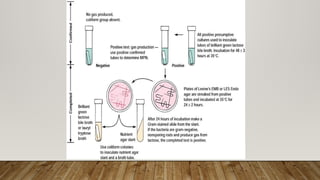 Standard Coliform Most Probable Number (MPN).pptx