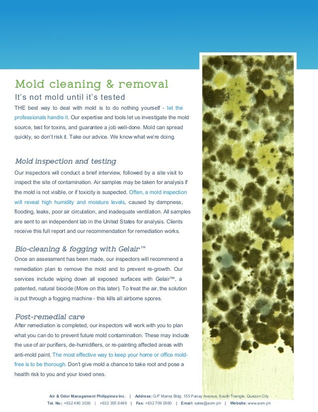 Air and Odor Management Philippines Inc.