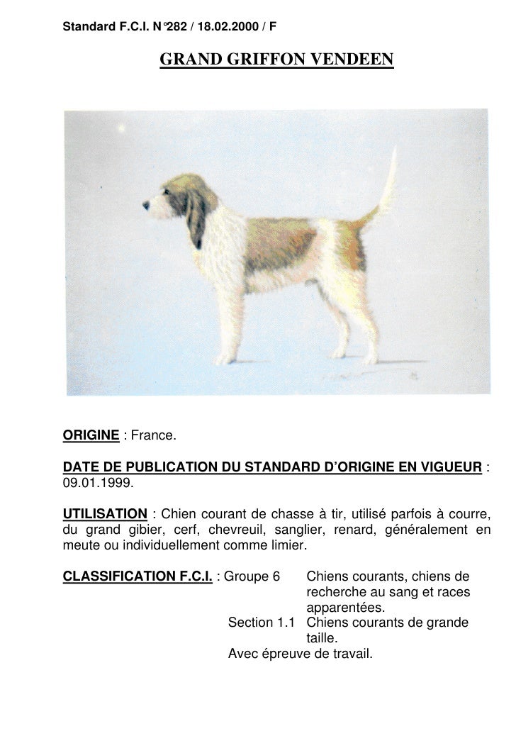 Standard Fci 282 Grand Griffon Vendéen