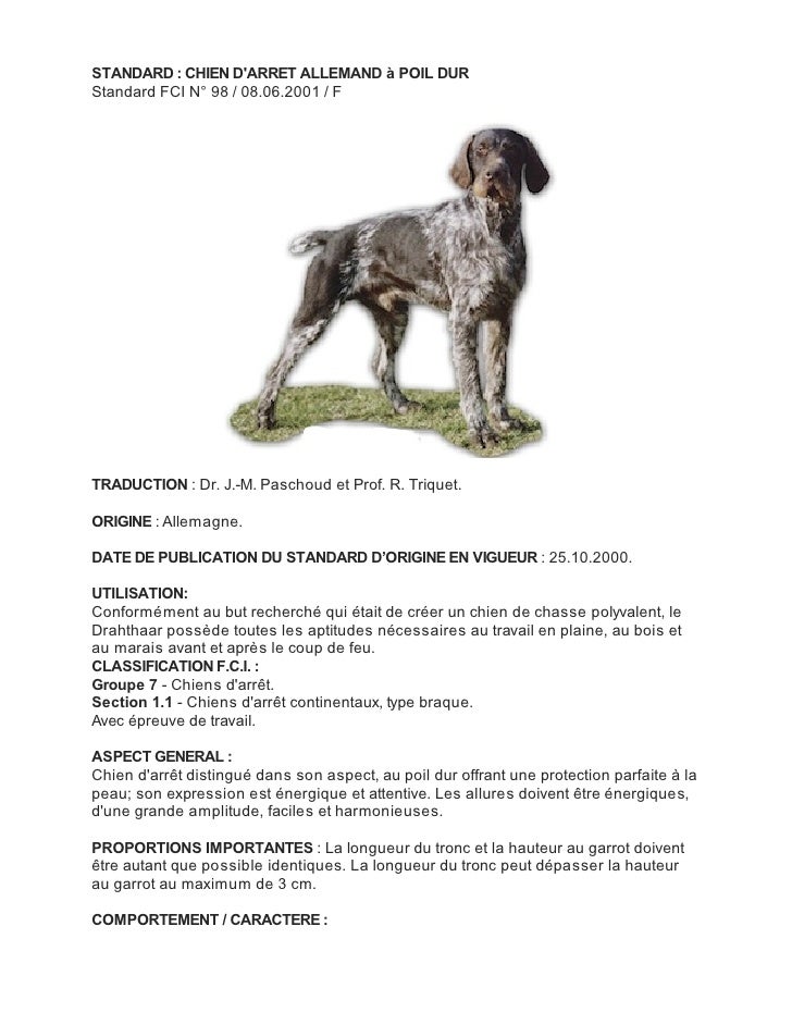 Standard fci braque allemand poil dur Standard fci braque allemand poil dur
