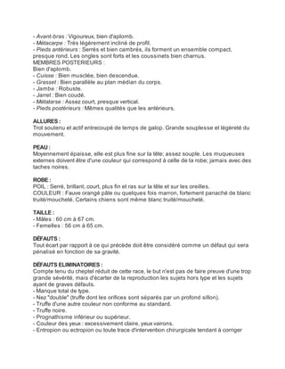 - Avant-bras : Vigoureux, bien d'aplomb.
- Métacarpe : Très légèrement incliné de profil.
- Pieds antérieurs : Serrés et bien cambrés, ils forment un ensemble compact,
presque rond. Les ongles sont forts et les coussinets bien charnus.
MEMBRES POSTERIEURS :
Bien d'aplomb.
- Cuisse : Bien musclée, bien descendue.
- Grasset : Bien parallèle au plan médian du corps.
- Jambe : Robuste.
- Jarret : Bien coudé.
- Métatarse : Assez court, presque vertical.
- Pieds postérieurs : Mêmes qualités que les antérieurs.

ALLURES :
Trot soutenu et actif entrecoupé de temps de galop. Grande souplesse et légèreté du
mouvement.

PEAU :
Moyennement épaisse, elle est plus fine sur la tête; assez souple. Les muqueuses
externes doivent être d'une couleur qui correspond à celle de la robe; jamais avec des
taches noires.

ROBE :
POIL : Serré, brillant, court, plus fin et ras sur la tête et sur les oreilles.
COULEUR : Fauve orangé pâle ou quelques fois marron, fortement panaché de blanc
truité/moucheté. Certains chiens sont même blanc truité/moucheté.

TAILLE :
- Mâles : 60 cm à 67 cm.
- Femelles : 56 cm à 65 cm.

DÉFAUTS :
Tout écart par rapport à ce qui précède doit être considéré comme un défaut qui sera
pénalisé en fonction de sa gravité.

DÉFAUTS ELIMINATOIRES :
Compte tenu du cheptel réduit de cette race, le but n'est pas de faire preuve d'une trop
grande sévérité, mais d'écarter de la reproduction les sujets hors type et les sujets
ayant de graves défauts.
- Manque total de type.
- Nez "double" (truffe dont les orifices sont séparés par un profond sillon).
- Truffe d'une autre couleur non conforme au standard.
- Truffe noire.
- Prognathisme inférieur ou supérieur.
- Couleur des yeux : excessivement claire, yeux vairons.
- Entropion ou ectropion ou toute trace d'intervention chirurgicale tendant à corriger
 