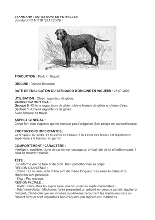 STANDARD : CURLY COATED RETRIEVER
Standard FCI N°110 /23.11.2009/ F




TRADUCTION : Prof. R. Triquet.

ORIGINE : Grande-Bretagne

DATE DE PUBLICATION DU STANDARD D’ORIGINE EN VIGUEUR : 28.07.2009

UTILISATION : Chien rapporteur de gibier.
CLASSIFICATION F.C.I. :
Groupe 8 - Chiens rapporteurs de gibier, chiens leveurs de gibier et chiens d'eau.
Section 1 - Chiens rapporteurs de gibier.
Avec épreuve de travail.

ASPECT GENERAL :
Chien fort, bien d'aplomb qui ne manque pas d'élégance. Son pelage est caractéristique.

PROPORTIONS IMPORTANTES :
La longueur du corps, de la pointe de l'épaule à la pointe des fesses est légèrement
supérieure à la hauteur au garrot.

COMPORTEMENT / CARACTERE :
Intelligent, équilibré, digne de confiance, courageux, amical, sûr de lui et indépendant. Il
peut se montrer réservé.

TÊTE :
Cunéiforme vue de face et de profil. Bien proportionnée au corps.
REGION CRANIENNE :
- Crâne : Le museau et le crâne sont de même longueur. Les axes du crâne et du
chanfrein sont parallèles.
- Stop : Peu marqué.
REGION FACIALE :
- Truffe : Noire chez les sujets noirs, marron chez les sujets marron (foie).
- Mâchoires/dents : Mâchoires fortes présentant un articulé en ciseaux parfait, régulier et
complet, c'est-à-dire que les incisives supérieures recouvrent les inférieures dans un
contact étroit et sont implantées bien d'équerre par rapport aux mâchoires.
 