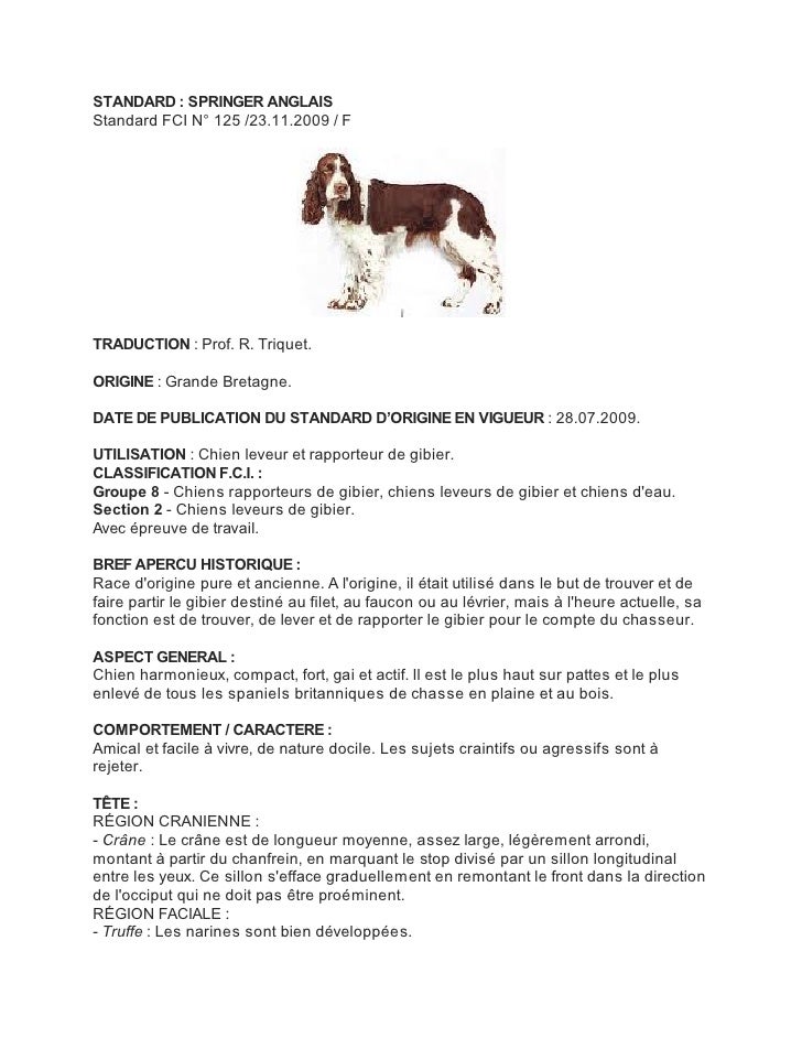 Standard Fci Du Springer Anglais