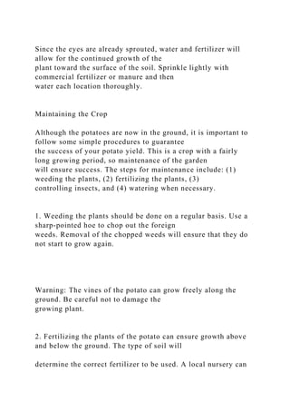 Since the eyes are already sprouted, water and fertilizer will
allow for the continued growth of the
plant toward the surface of the soil. Sprinkle lightly with
commercial fertilizer or manure and then
water each location thoroughly.
Maintaining the Crop
Although the potatoes are now in the ground, it is important to
follow some simple procedures to guarantee
the success of your potato yield. This is a crop with a fairly
long growing period, so maintenance of the garden
will ensure success. The steps for maintenance include: (1)
weeding the plants, (2) fertilizing the plants, (3)
controlling insects, and (4) watering when necessary.
1. Weeding the plants should be done on a regular basis. Use a
sharp-pointed hoe to chop out the foreign
weeds. Removal of the chopped weeds will ensure that they do
not start to grow again.
Warning: The vines of the potato can grow freely along the
ground. Be careful not to damage the
growing plant.
2. Fertilizing the plants of the potato can ensure growth above
and below the ground. The type of soil will
determine the correct fertilizer to be used. A local nursery can
 