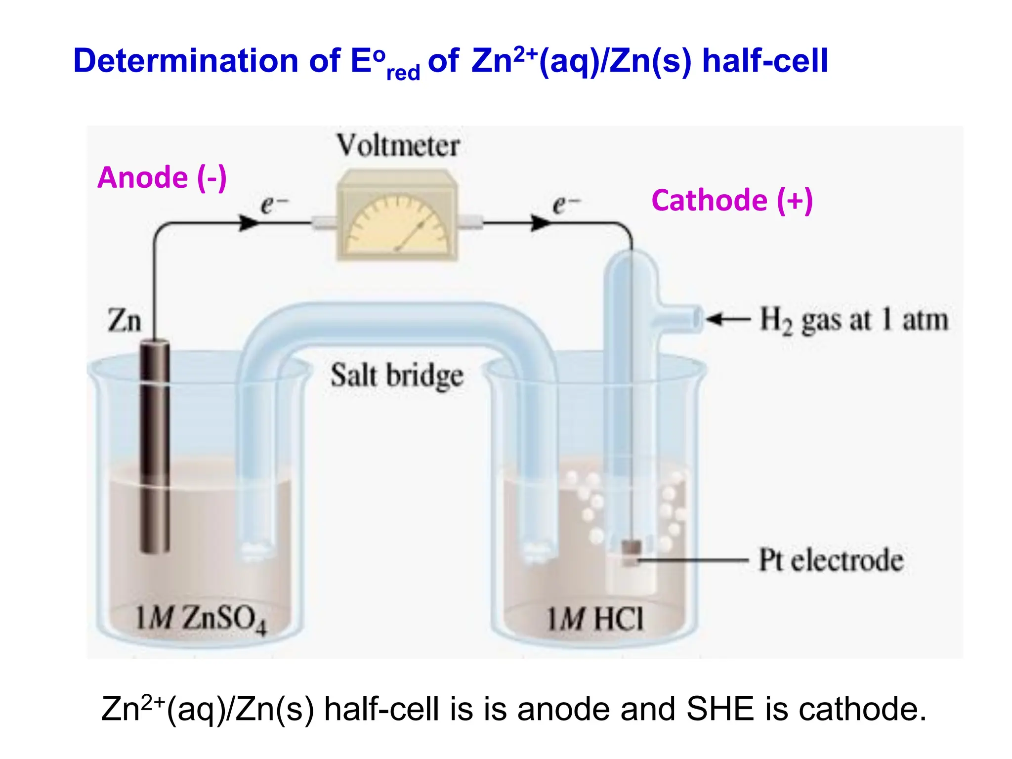 Standard Hydrogen Electrode SHE explaination | PPT
