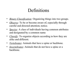 Definitions Binary Classification :  Organizing things into two groups.  Observe :   To be or become aware of, especially through careful and directed attention; notice.  Species :  A class of individuals having common attributes and designated by a common name Classify :  To organize objects according to how they are alike and different. Vertebrates : Animals that have a spine or backbone. Invertebrates : Animals that do not have a spine or a backbone. 