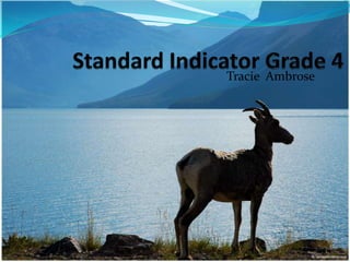 Standard Indicator Grade 4 TracieAmbrose 