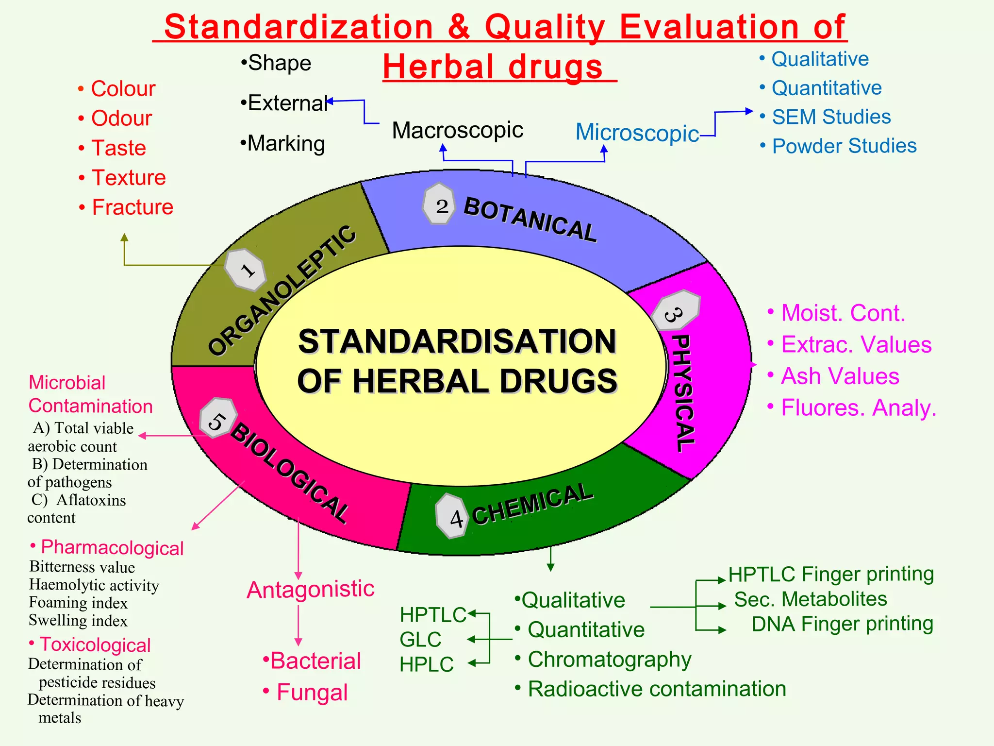 STANDARDISATIONSTANDARDISATION
OF HERBAL DRUGSOF HERBAL DRUGS
CHEMICAL
CHEMICAL
BIOLOGICAL
BIOLOGICAL
O
RG
ANO
LEPTIC
O
RG
ANO
LEPTIC
BOTANICAL
BOTANICAL
PHYSICALPHYSICAL
• Moist. Cont.
• Extrac. Values
• Ash Values
• Fluores. Analy.
Macroscopic Microscopic
• Qualitative
• Quantitative
• SEM Studies
• Powder Studies
•Shape
•External
•Marking
• Colour
• Odour
• Taste
• Texture
• Fracture
Antagonistic
Microbial
Contamination
A) Total viable
aerobic count
B) Determination
of pathogens
C) Aflatoxins
content
• Pharmacological
Bitterness value
Haemolytic activity
Foaming index
Swelling index
• Toxicological
Determination of
pesticide residues
Determination of heavy
metals
•Bacterial
• Fungal
•Qualitative
• Quantitative
• Chromatography
• Radioactive contamination
HPTLC
GLC
HPLC
HPTLC Finger printing
Sec. Metabolites
DNA Finger printing
Standardization & Quality Evaluation of
Herbal drugs
1
2
3
4
5
 