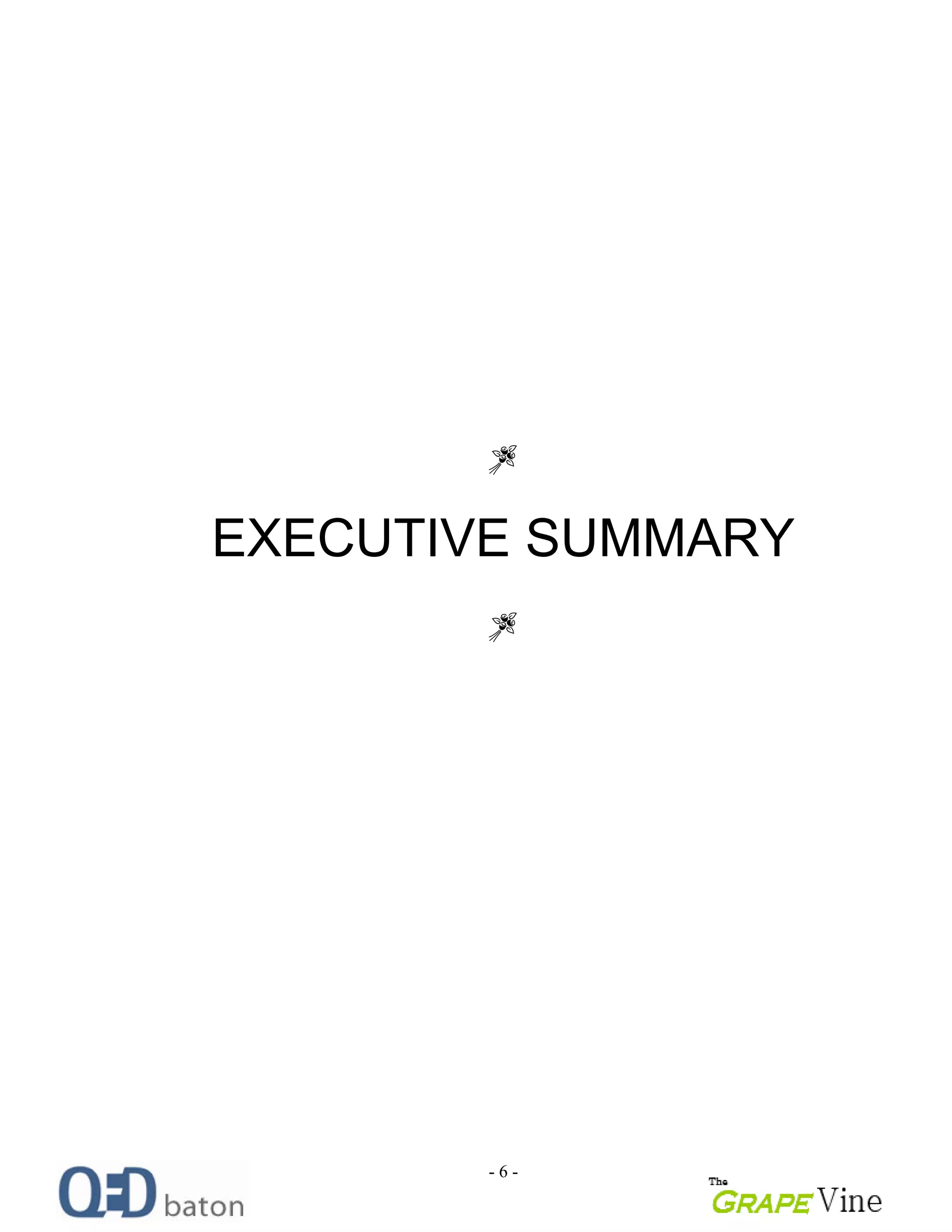 - 6 -
EXECUTIVE SUMMARY
 