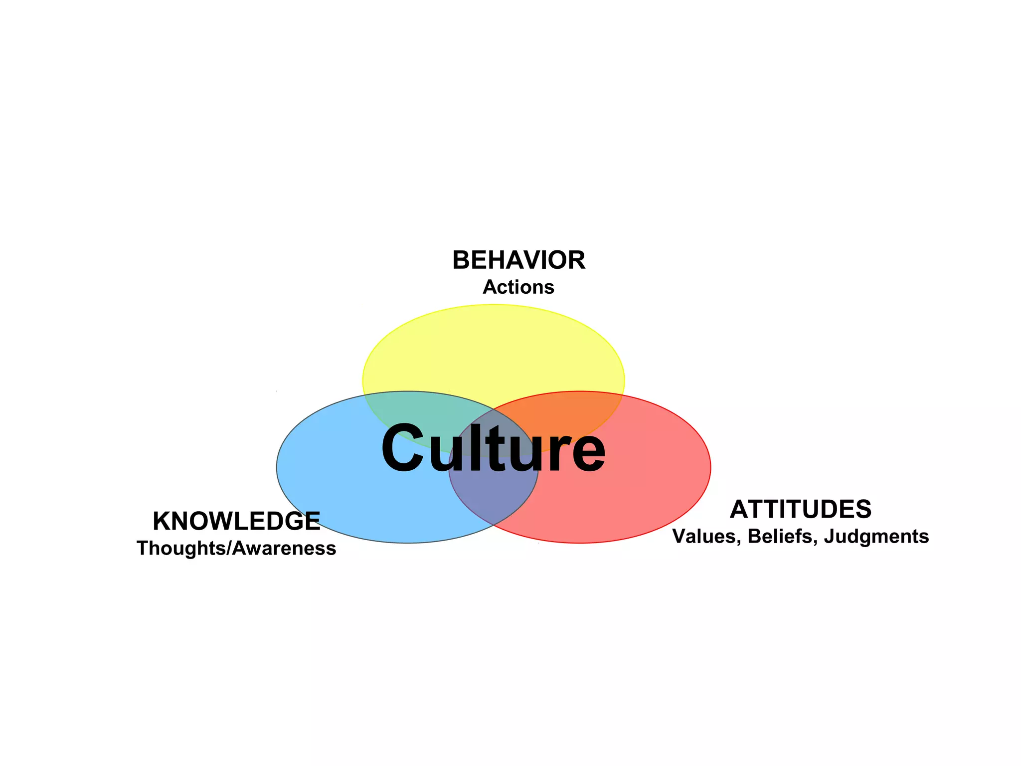 BEHAVIOR
Actions
ATTITUDES
Values, Beliefs, Judgments
KNOWLEDGE
Thoughts/Awareness
Culture
 