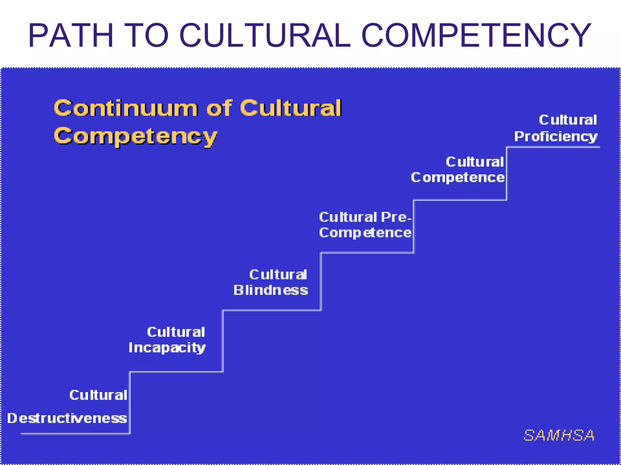 PATH TO CULTURAL COMPETENCY
 