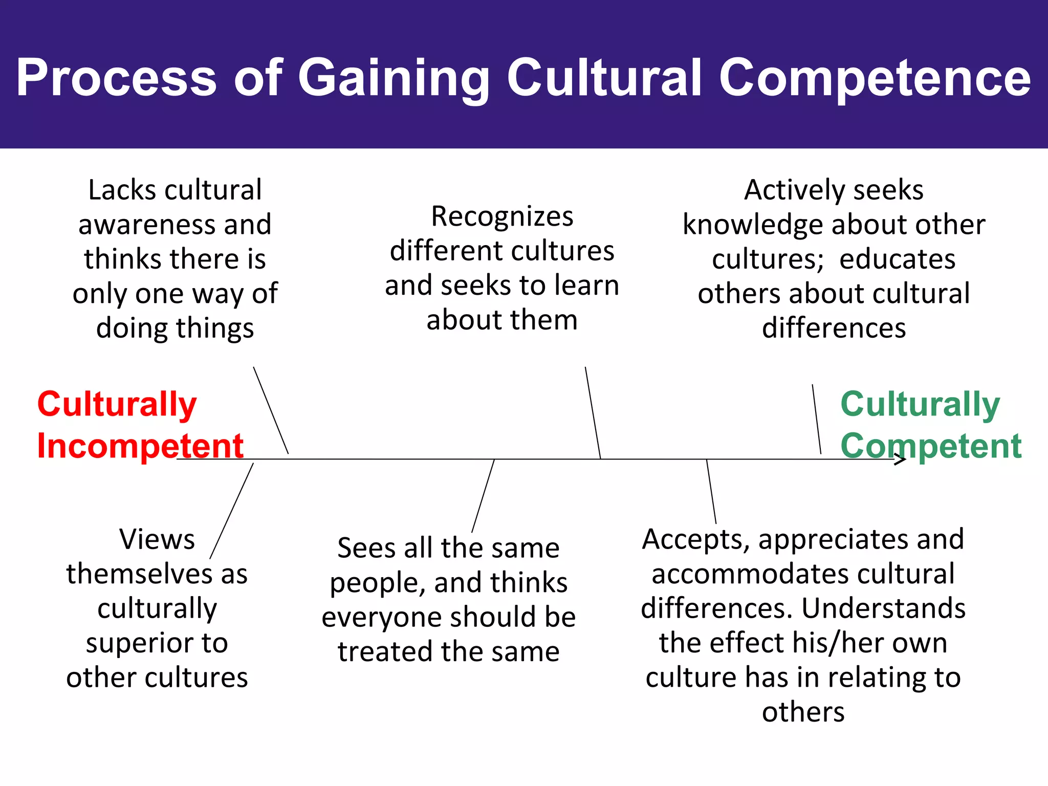 Process of Gaining Cultural Competence
Views
themselves as
culturally
superior to
other cultures
Actively seeks
knowledge about other
cultures; educates
others about cultural
differences
Lacks cultural
awareness and
thinks there is
only one way of
doing things
Culturally
Incompetent
Sees all the same
people, and thinks
everyone should be
treated the same
Culturally
Competent
Recognizes
different cultures
and seeks to learn
about them
Accepts, appreciates and
accommodates cultural
differences. Understands
the effect his/her own
culture has in relating to
others
 