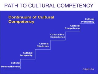PATH TO CULTURAL COMPETENCY
 
