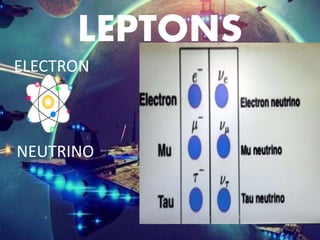LEPTONS
ELECTRON
NEUTRINO