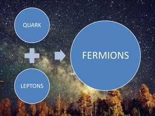 QUARK
LEPTONS
FERMIONS