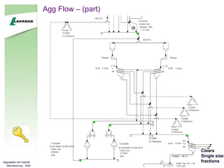 Standard Plant.ppt