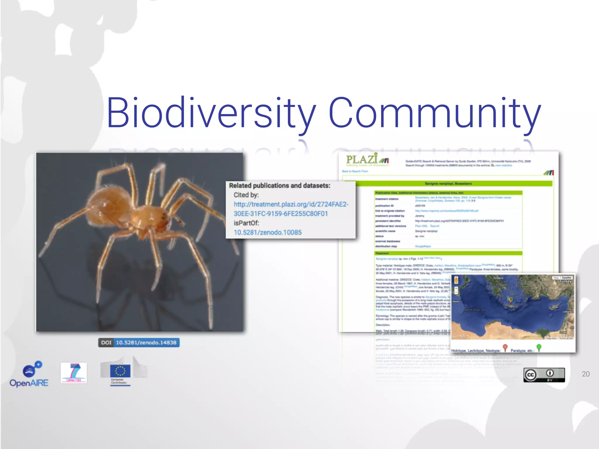 20
Biodiversity Community
 
