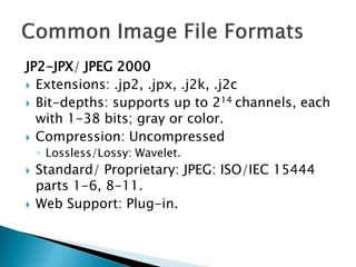 Jpc File Standards and procedure in digitization and digital preservation | PDF
