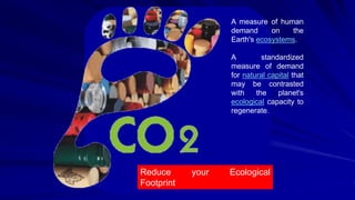 A measure of human
demand on the
Earth's ecosystems.
A standardized
measure of demand
for natural capital that
may be contrasted
with the planet's
ecological capacity to
regenerate.
Reduce your Ecological
Footprint
 