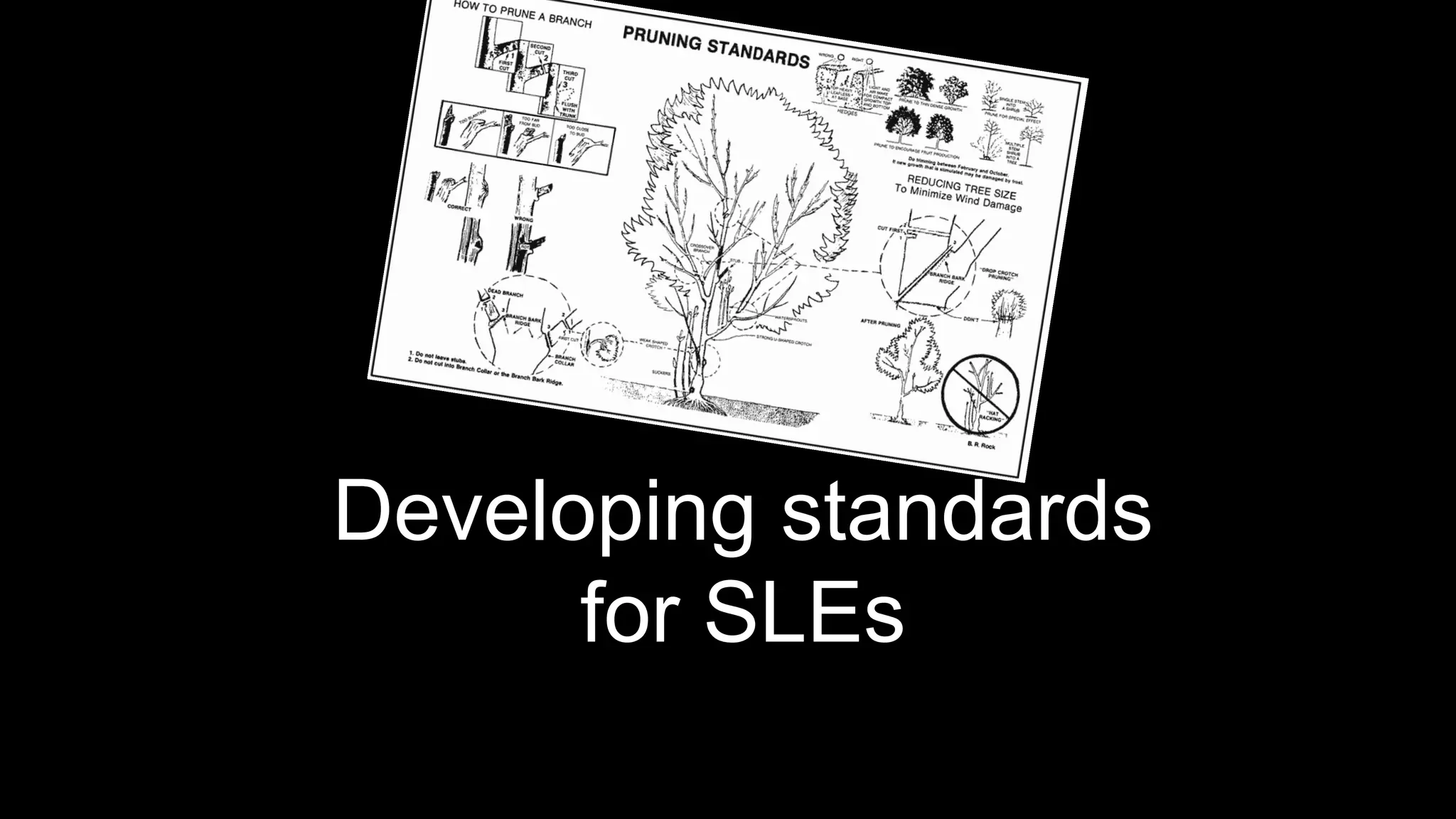 Developing standards
for SLEs
 