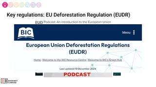 Key regulations: EU Deforestation Regulation (EUDR)
 