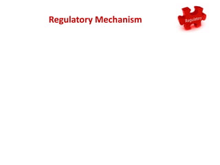 Regulatory Mechanism
 