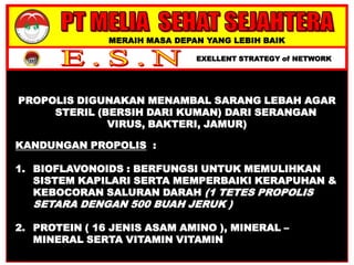 MERAIH MASA DEPAN YANG LEBIH BAIK
EXELLENT STRATEGY of NETWORK
PROPOLIS DIGUNAKAN MENAMBAL SARANG LEBAH AGAR
STERIL (BERSIH DARI KUMAN) DARI SERANGAN
VIRUS, BAKTERI, JAMUR)
KANDUNGAN PROPOLIS :
1. BIOFLAVONOIDS : BERFUNGSI UNTUK MEMULIHKAN
SISTEM KAPILARI SERTA MEMPERBAIKI KERAPUHAN &
KEBOCORAN SALURAN DARAH (1 TETES PROPOLIS
SETARA DENGAN 500 BUAH JERUK )
2. PROTEIN ( 16 JENIS ASAM AMINO ), MINERAL –
MINERAL SERTA VITAMIN VITAMIN
 