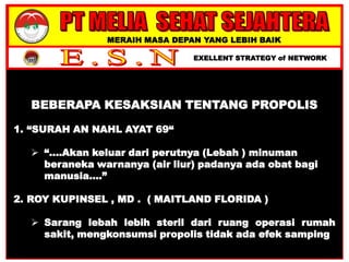 MERAIH MASA DEPAN YANG LEBIH BAIK
EXELLENT STRATEGY of NETWORK
BEBERAPA KESAKSIAN TENTANG PROPOLIS
1. “SURAH AN NAHL AYAT 69“
 “....Akan keluar dari perutnya (Lebah ) minuman
beraneka warnanya (air liur) padanya ada obat bagi
manusia....”
2. ROY KUPINSEL , MD . ( MAITLAND FLORIDA )
 Sarang lebah lebih steril dari ruang operasi rumah
sakit, mengkonsumsi propolis tidak ada efek samping
 