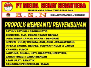 MERAIH MASA DEPAN YANG LEBIH BAIK
EXELLENT STRATEGY of NETWORK
BATUK / ASTHMA / BRONCHISTIS
SINUSITIS / FLU / DEMAM / SAKIT KEPALA
LUKA BENDA TAJAM ( BAKAR ), BENGKAK
INFEKSI KULIT, TELINGA, GIGI, GUSI, JERAWAT/BISUL
INFEKSI VAGINA, HERPES, PENYAKIT KULIT & JAMUR
KANKER / TUMOR
JANTUNG, GINJAL, HATI, DIABETES, HEPATITIS,
DARAH TINGGI / DARAH RENDAH
ASAM URAT / REMATIK
GANGGUAN PENCERNAAN / MAAG
 