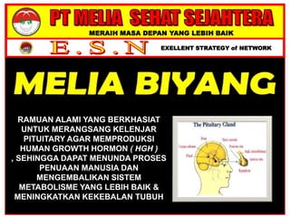 MERAIH MASA DEPAN YANG LEBIH BAIK
EXELLENT STRATEGY of NETWORK
RAMUAN ALAMI YANG BERKHASIAT
UNTUK MERANGSANG KELENJAR
PITUITARY AGAR MEMPRODUKSI
HUMAN GROWTH HORMON ( HGH )
, SEHINGGA DAPAT MENUNDA PROSES
PENUAAN MANUSIA DAN
MENGEMBALIKAN SISTEM
METABOLISME YANG LEBIH BAIK &
MENINGKATKAN KEKEBALAN TUBUH
 