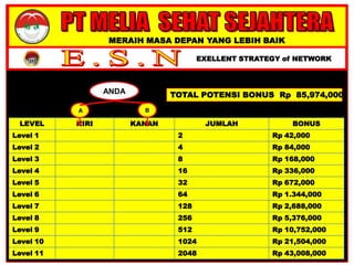 MERAIH MASA DEPAN YANG LEBIH BAIK
EXELLENT STRATEGY of NETWORK
LEVEL KIRI KANAN JUMLAH BONUS
Level 1 2 Rp 42,000
Level 2 4 Rp 84,000
Level 3 8 Rp 168,000
Level 4 16 Rp 336,000
Level 5 32 Rp 672,000
Level 6 64 Rp 1.344,000
Level 7 128 Rp 2,688,000
Level 8 256 Rp 5,376,000
Level 9 512 Rp 10,752,000
Level 10 1024 Rp 21,504,000
Level 11 2048 Rp 43,008,000
A B
ANDA TOTAL POTENSI BONUS Rp 85,974,000
 