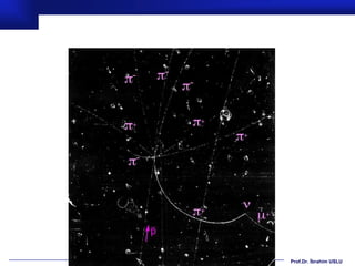 Prof.Dr. İbrahim USLU
 