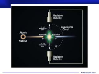 Prof.Dr. İbrahim USLU
 