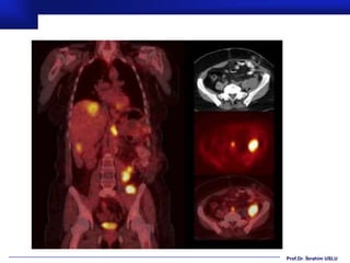 Prof.Dr. İbrahim USLU
 