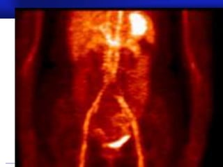 Prof.Dr. İbrahim USLU
 