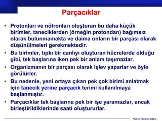 Parçacıklar
• Protonları ve nötronları oluşturan bu daha küçük
  birimler, taneciklerden (örneğin protondan) bağımsız
  olarak bulunmamakta ve daima onların bir parçası olarak
  düşünülmeleri gerekmektedir.
• Bu birimler, tıpkı bir canlıyı oluşturan hücrelerde olduğu
  gibi, tek başlarına iken pek bir anlam taşımazlar.
• Organizmanın bir parçası olarak işlev yaparlar ve öyle
  görülürler.
• Bu nedenle, yeni ortaya çıkan pek çok birimi anlatmak
  için tanecik yerine parçacık terimi kullanılmaya
  başlanmıştır.
• Parçacıklar tek başlarına pek bir işe yaramazlar, ancak
  birleştirildiklerinde saati oluştururlar.
                                                  Prof.Dr. İbrahim USLU
 