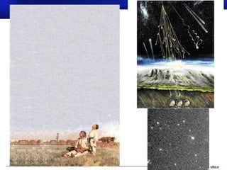 Prof.Dr. İbrahim USLU
 