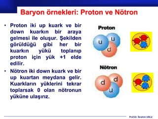 Baryon örnekleri: Proton ve Nötron
• Proton iki up kuark ve bir
  down kuarkın bir araya
  gelmesi ile oluşur. Şekilden
  görüldüğü gibi her bir
  kuarkın     yükü    toplanıp
  proton için yük +1 elde
  edilir.
• Nötron iki down kuark ve bir
  up kuartan meydana gelir.
  Kuarkların yüklerini tekrar
  toplarsak 0 olan nötronun
  yüküne ulaşırız.


                                     Prof.Dr. İbrahim USLU
 