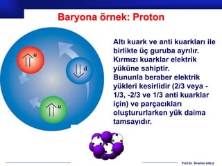 Baryona örnek: Proton

          Altı kuark ve anti kuarkları ile
          birlikte üç guruba ayrılır.
          Kırmızı kuarklar elektrik
          yüküne sahiptir.
          Bununla beraber elektrik
          yükleri kesirlidir (2/3 veya -
          1/3, -2/3 ve 1/3 anti kuarklar
          için) ve parçacıkları
          oluştururlarken yük daima
          tamsayıdır.




                               Prof.Dr. İbrahim USLU
 