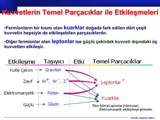 Kuvvetlerin Temel Parçacıklar ile Etkileşmeleri

•Fermionların bir kısmı olan kuarklar doğada fark edilen dört çeşit
kuvvetin hepsiyle de etkileşebilen parçacıklardır.
•Diğer fermionlar olan leptonlar ise güçlü çekirdek kuvveti dışındaki üç
kuvvetten etkileşir.




                                                           Prof.Dr. İbrahim USLU
 