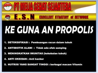 1. DETOKSIFIKASI : Pembuangan racun dalam tubuh

2. ANTIBIOTIK ALAMI : Tidak ada efek samping

3. MENINGKATKAN IMUNITAS (kekebalan tubuh)

4. ANTI OKSIDAN : Anti kanker

5. NUTRISI YANG SANGAT TINGGI : berbagai macam Vitamin
 